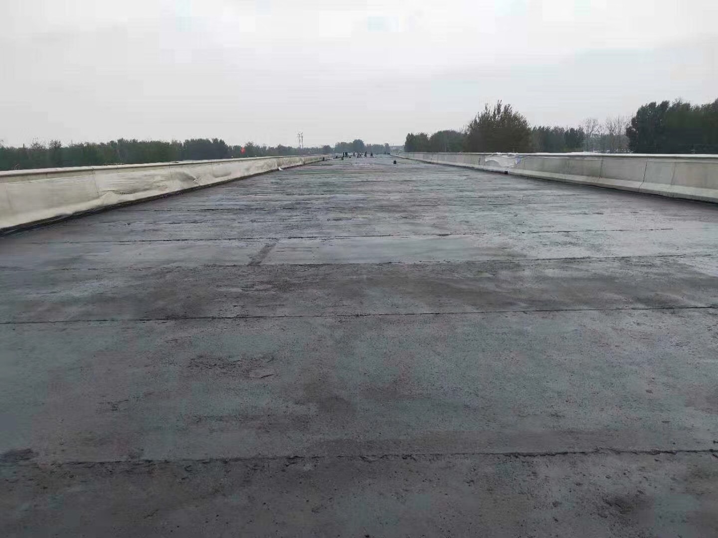 104515457.jpg 104515457.jpg